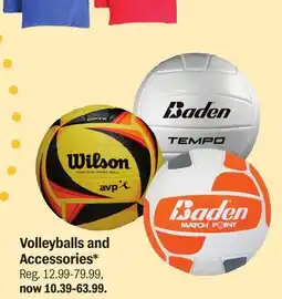 Meijer Volleyballs and Accessories offer