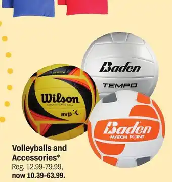 Meijer Volleyballs and Accessories offer