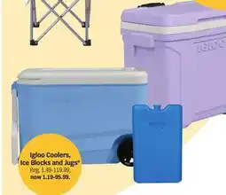 Meijer Igloo Coolers, Ice Blocks and Jugs offer