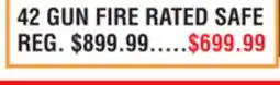 Dunham's Sports 42 GUN FIRE RATED SAFE offer