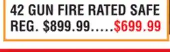 Dunham's Sports 42 GUN FIRE RATED SAFE offer