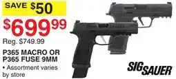 Dunham's Sports P365 MACRO OR P365 FUSE 9MM offer