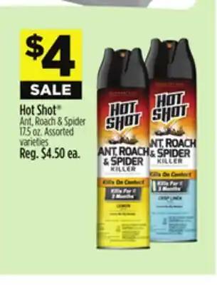 Dollar General Hot Shot Ant, Roach & Spider offer