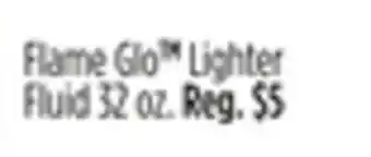Dollar General Flame Glo TM Lighter Fluid offer