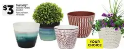 Dollar General True Living Polystone Planters offer