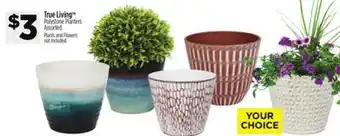 Dollar General True Living Polystone Planters offer