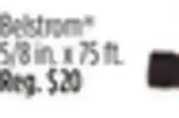 Dollar General Belstrom offer