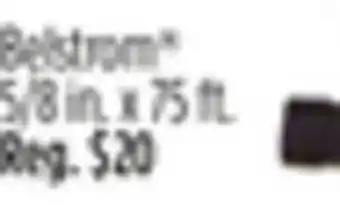 Dollar General Belstrom offer