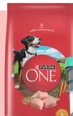 Target Purina ONE 8-lb. dry dog food offer