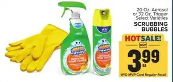 Food Lion Scrubbing bubbles offer