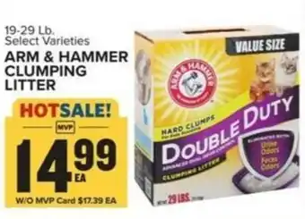 Food Lion Arm & hammer clumping litter offer