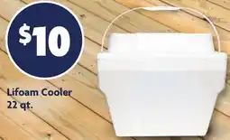 Family Dollar Lifoam Cooler offer