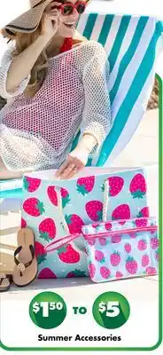 Dollar Tree Summer Accessories offer