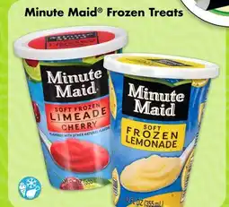 Dollar Tree Minute Maid Frozen Treats offer