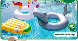 Dollar Tree Inflatable Swim Toys offer