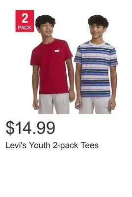Costco Levi's Youth 2-pack Tees offer