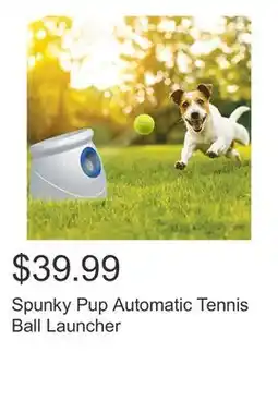 Costco Spunky Pup Automatic Tennis Ball Launcher offer