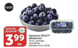 Vons Signature SELECT Blueberries offer