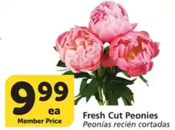 Vons Fresh Cut Peonies offer