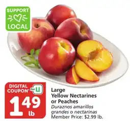 Vons Large Yellow Nectarines or Peaches offer