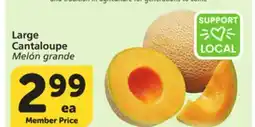 Vons Large Cantaloupe offer
