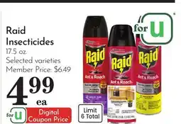 Pavilions Raid Insecticides offer
