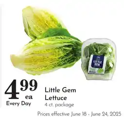Pavilions Little Gem Lettuce offer