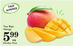 Pavilions Tree Ripe Mango offer