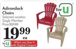 Pavilions Adirondack Chairs offer