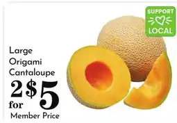 Pavilions Large Origami Cantaloupe offer