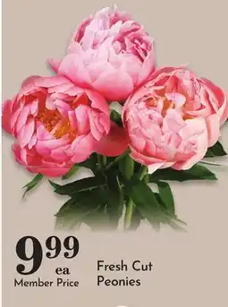 Pavilions Fresh Cut Peonies offer