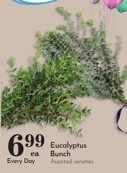 Pavilions Eucalyptus Bunch offer