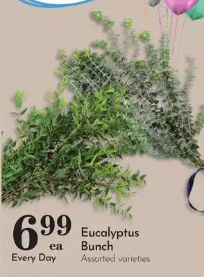 Pavilions Eucalyptus Bunch offer