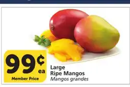 Albertsons Large Ripe Mangos offer