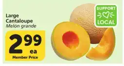 Albertsons Large Cantaloupe offer