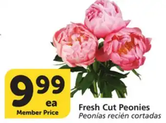 Albertsons Fresh Cut Peonies offer