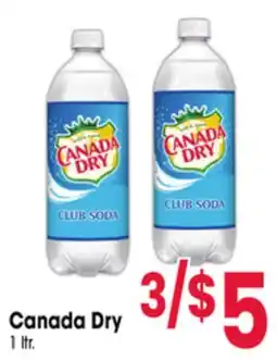 Jewel-Osco Canada Dry offer