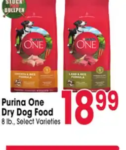 Jewel-Osco Purina One Dry Dog Food offer