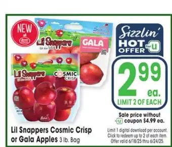 Jewel-Osco Lil Snappers Cosmic Crisp or Gala Apples offer