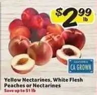 Winn Dixie Yellow Nectarines, White Flesh Peaches or Nectarines offer