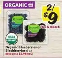 Winn Dixie Organic Blueberries or Blackberries offer
