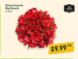 Sprouts Farmers Market Alstroemeria Big Bunch offer