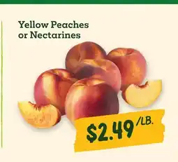 Sprouts Farmers Market Yellow Peaches or Nectarines offer