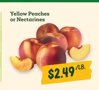 Sprouts Farmers Market Yellow Peaches or Nectarines offer