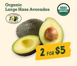 Sprouts Farmers Market Organic Large Hass Avocados offer