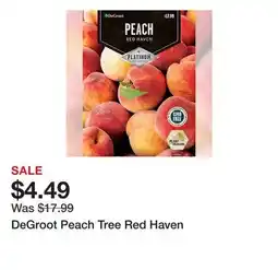 Tractor Supply Company DeGroot Peach Tree Red Haven offer
