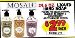 Ollie's MOSAIC 24.6 OZ. LIQUID HAND SOAP offer