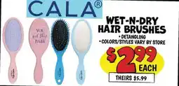 Ollie's CALA WET-N-DRY HAIR BRUSHES offer
