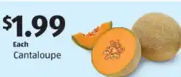 Aldi Cantaloupe offer