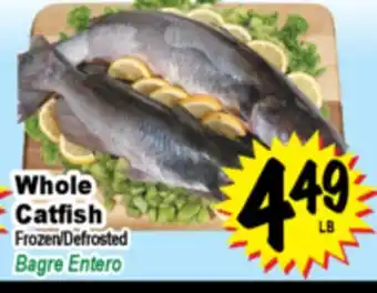 Superior Grocers Whole Catfish offer